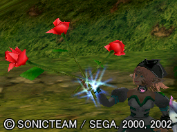 [Image: AF_amorerose.png]