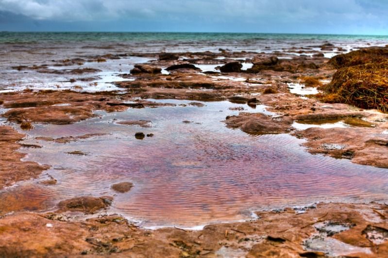 IMAGE: http://img.photobucket.com/albums/v97/s3v3rth3stars/204ffa6b.jpg