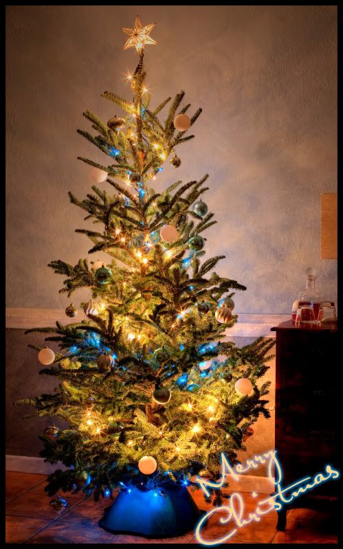 IMAGE: http://img.photobucket.com/albums/v97/s3v3rth3stars/treepic.jpg