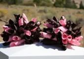 Pink and Brown Korker Bows