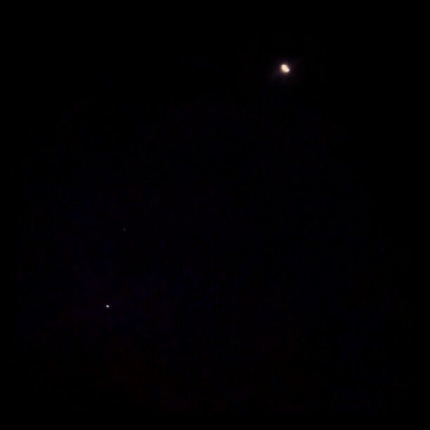 starrynight.jpg