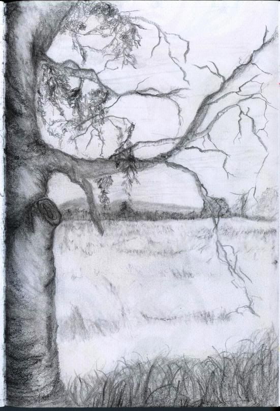 Tree Drawing Interpretation