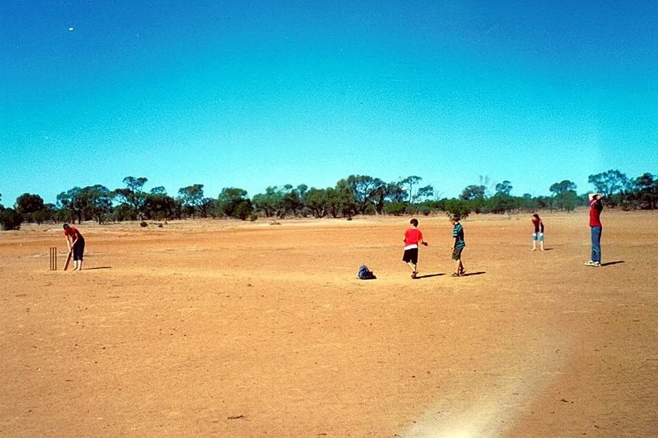 Playing Cricket