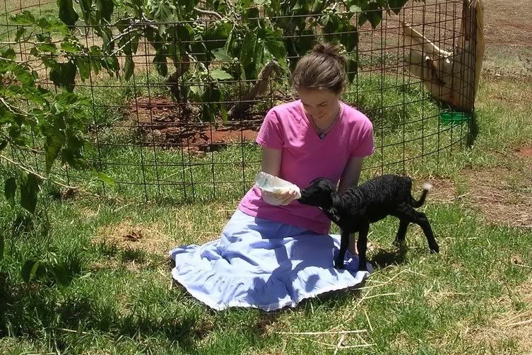 Lyd Feeding Merry