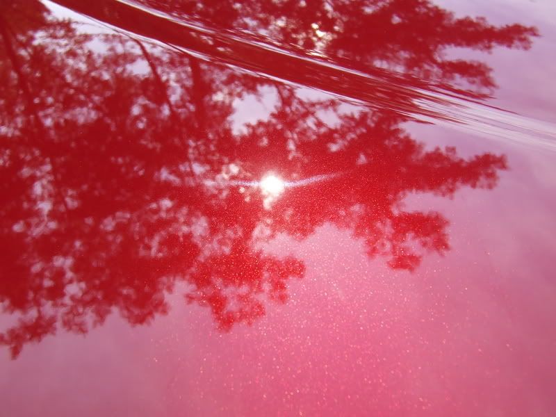 DSCF0057.jpg
