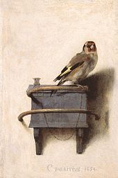 Fabritius-vink_zpse38d22f4.jpg