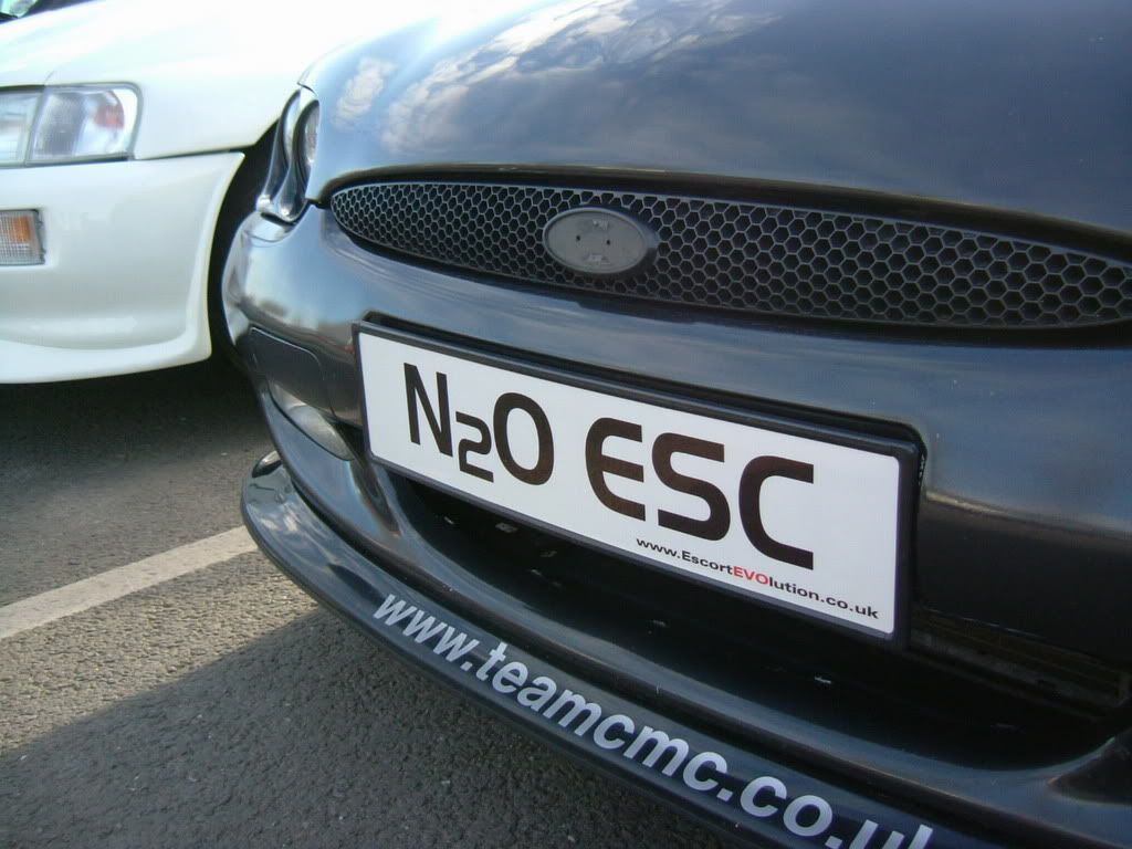 Plates4.jpg