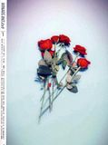 photo WHATsINtxtVol1-37-backcover.jpg