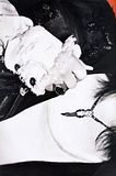 photo WhatsInJuly2013-18-VAMPS.jpg