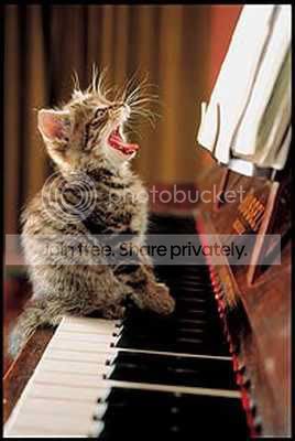 CatPiano8.jpg