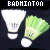Badminton