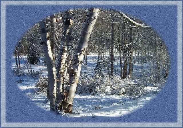 early snowfall...out front