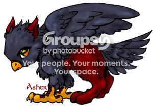 User Image