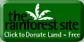 click to donate FREE funds to save the rainforest