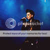 Adam Lambert - Sayfa 2 Adamicon2080