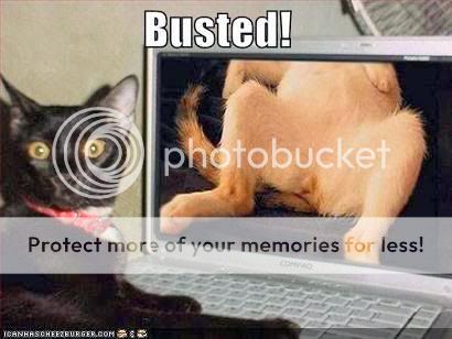 What made you LOL today? BustedCat