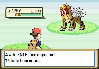 entei_01.jpg