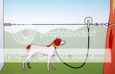 OVERHEAD TREE TROLLEY TIE OUT RUN LEASH CABLE FOR DOG  