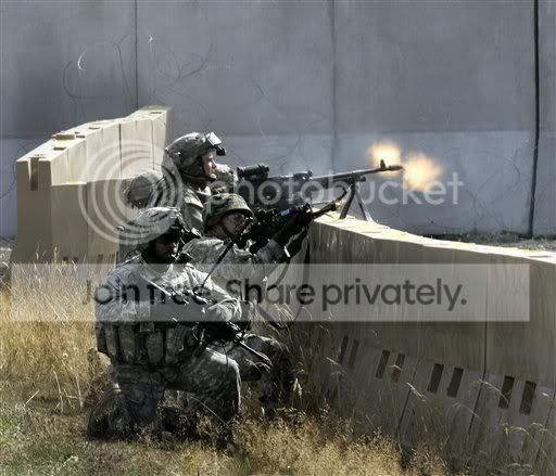 30785597.jpg