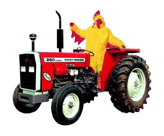 Hey Boffer, I finally got my chicken tractor ChickenTractor2