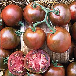 Heirloom Tomatoe Seeds Black-tomato