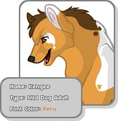 User Image