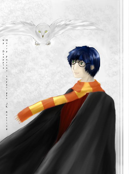 [PokeCommunity.com] .:Harry and Hedwig in honor of the Sixth Book:.