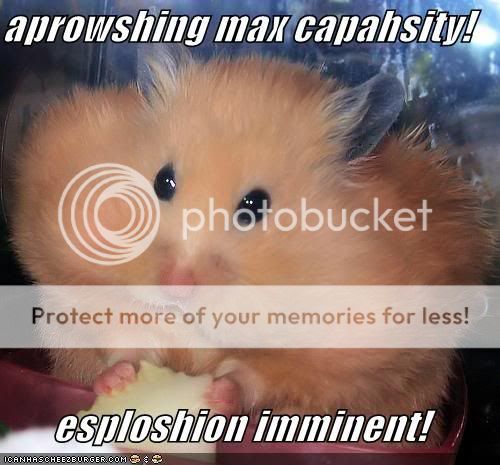 Random Pics - Page 4 Funny-pictures-hamster-eats-cheese