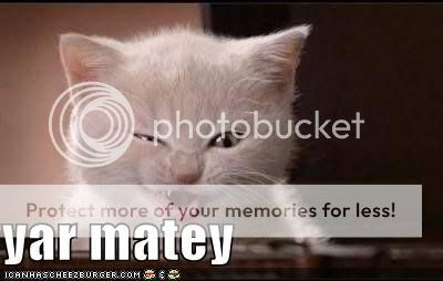 Random Pics - Page 4 Funny-pictures-pirate-kitten