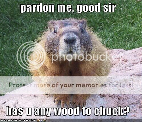 Random Pics - Page 4 Funny-pictures-polite-woodchuck