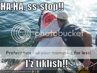 Random Pics - Page 4 Funny-pictures-ticklish-shark