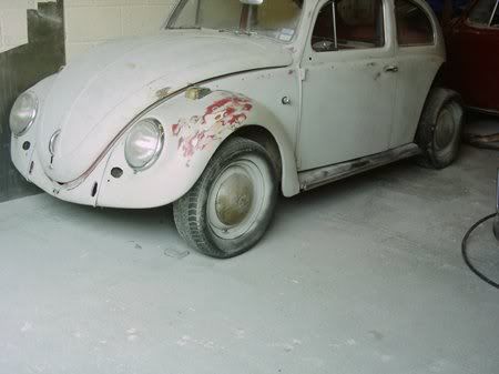 Bella - 1958 Australian Beetle 40600084rs