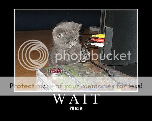 LOL CATS ARE LOL - Page 2 Waitillfixit