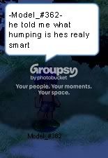 User Image