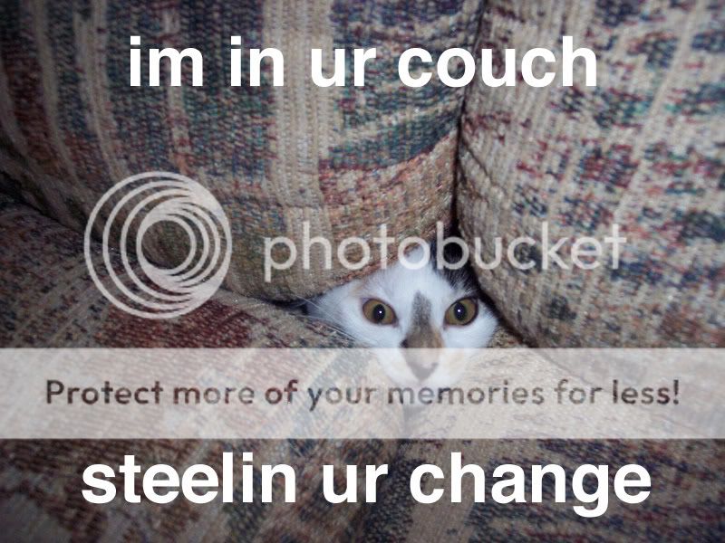Dirteh Picturez Couch