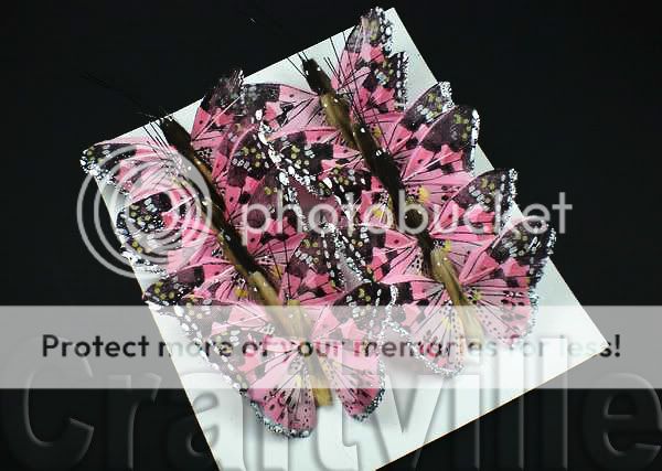 12 PINK CARNATION Design FEATHER WOOD BUTTERFLY 5cm  