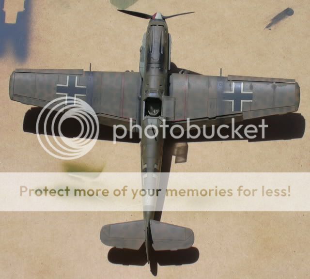 Bf 109e4/7 Trop as BLACK 8 Bf109e4Trop3