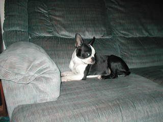 Image hosted by Photobucket.com