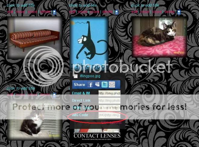 ** HOW TO POST PICTURES ** PhotobucketEXAMPLE