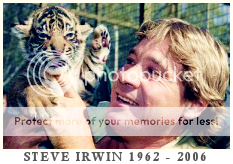 Steve Irwin - 1962-2006