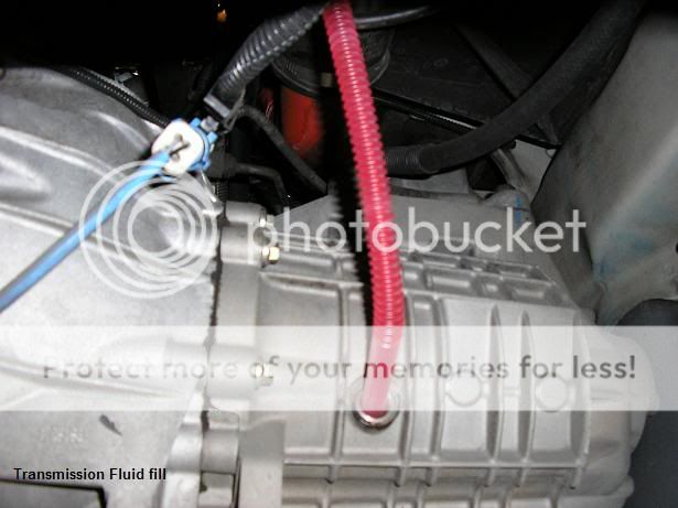 Manual transmission fluid for 2000 ford focus