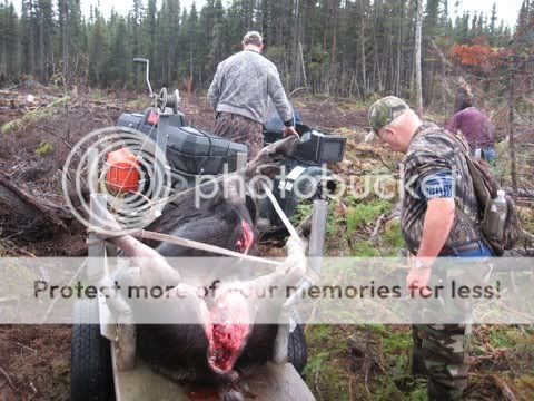 photo du buck a mon pere et de mon groupe IMG_0014