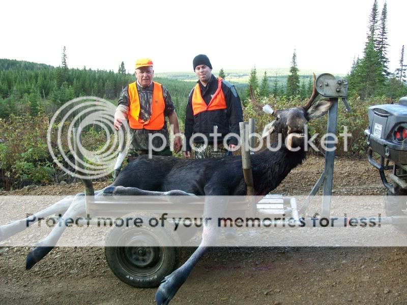 ca pas été long ce matin! 2 buck! Photo923