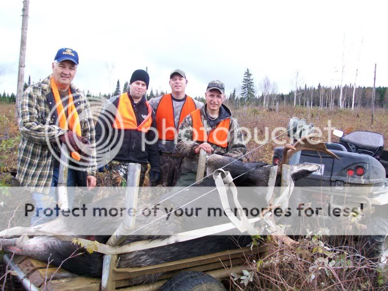 ca pas été long ce matin! 2 buck! Photo929