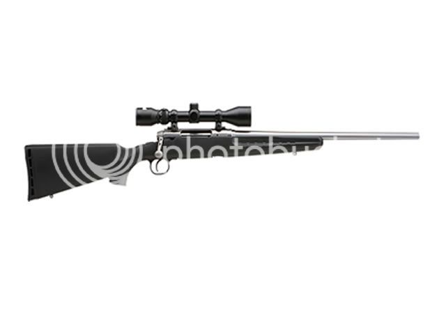 .17hmr  Axis_stainless_x_centrefire_two_web