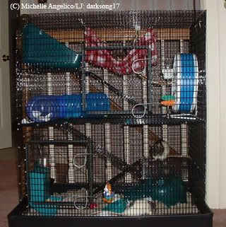 martins rat cages