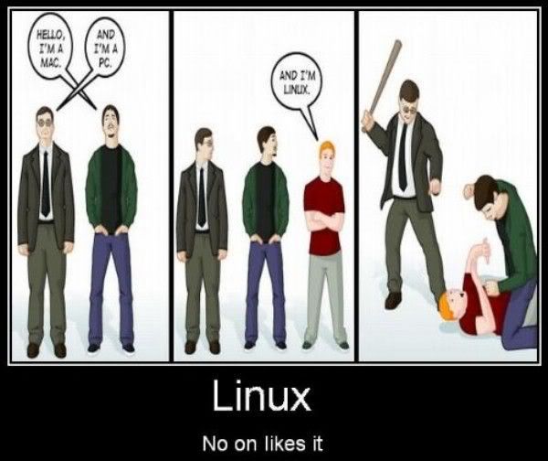 Random funny stuff - Page 3 Nobody_Likes_Linux