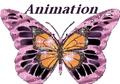 Baniere Animation-1