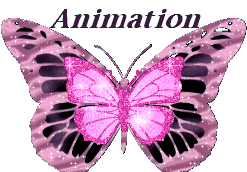 Baniere Animation