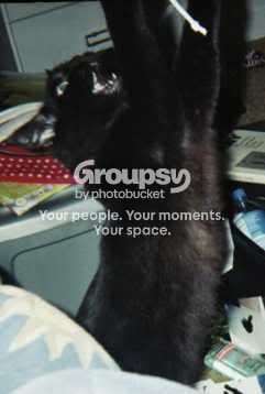 Image hosted by Photobucket.com